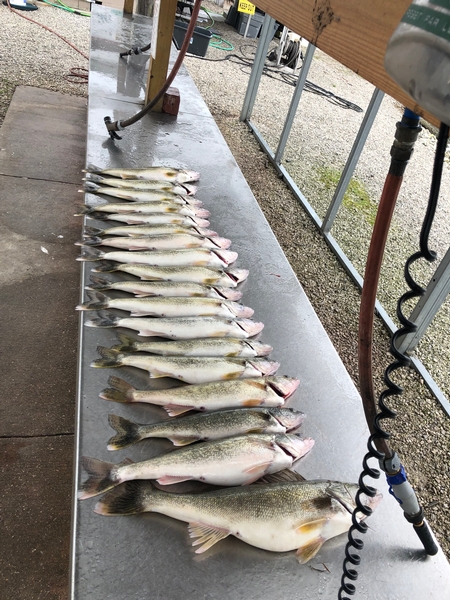 Great trip this morning with the Wisconsin boys.